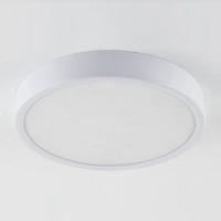 Накладной светильник Elektrostandard DLR034 a043015