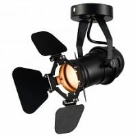 Спот Lussole Thornton LSP-9838. Фото №1