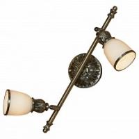 Спот Lussole Furlo LSL-7301-02 фото Спот Lussole Furlo LSL-7301-02