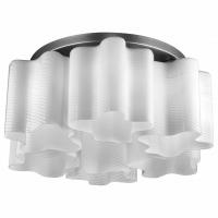 Потолочная люстра ST-Luce Onde SL117.502.06. Фото №1