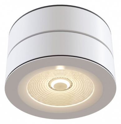 Накладной светильник Maytoni Treviso C023CL-L20W. Фото