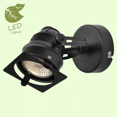 Спот Lussole Denver GRLSP-9118. Фото