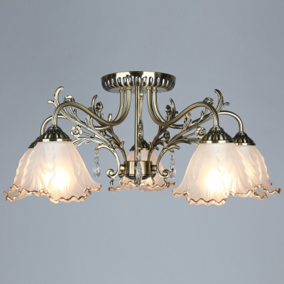 Потолочная люстра Omnilux Petrara OML-54807-05. Фото