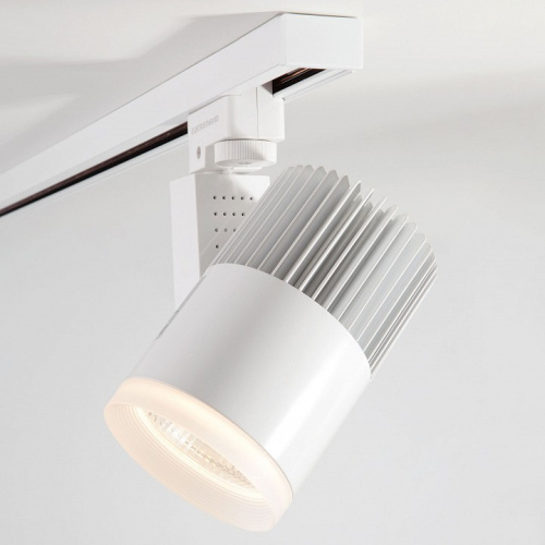 Светильник на штанге Elektrostandard Accord a044428. Фото №1