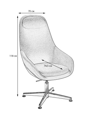 Кресло Concord Liberty. Фото