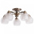 Потолочная люстра Arte Lamp Malina A7695PL-5AB фото Потолочная люстра Arte Lamp Malina A7695PL-5AB. Фото №1