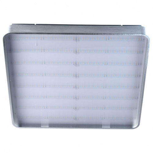 Накладной светильник MW-Light Граффити 678011901. Фото №1