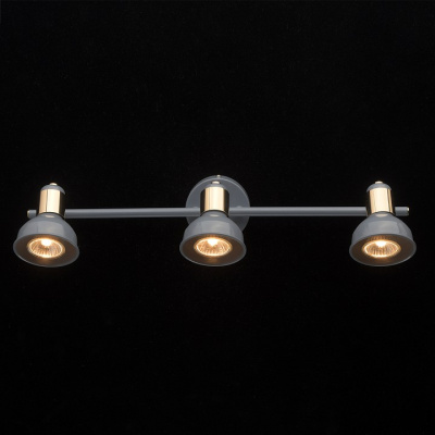 Спот MW-Light Хоф 552020303. Фото №2